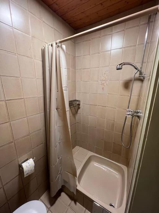 Einzimmerwohnung Im Gruenen/innsbruck/2 Pax Appartement